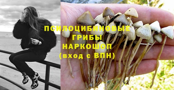 круглые Аркадак