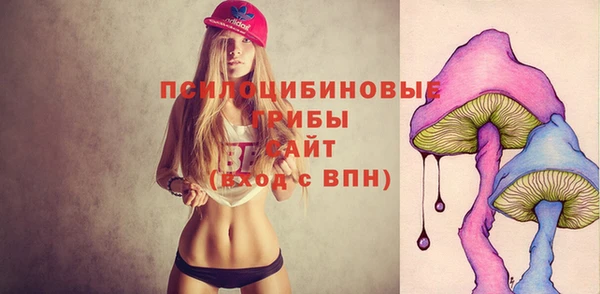 бошки Арсеньев