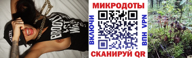 Галлюциногенные грибы Psilocybine cubensis  Скопин 
